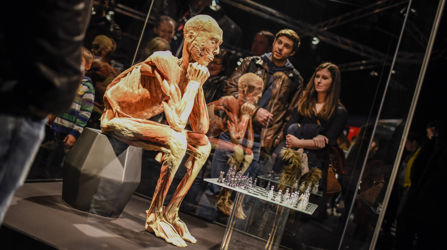 Gunther von Hagens' KÖRPERWELTEN, Institute for Plastination from Heidelberg inspired over 100,000 visitors in 2015. www.koerperwelten.de